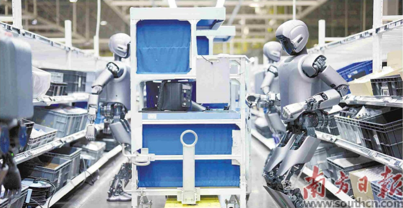 優(yōu)必選工業(yè)人形機(jī)器人在工廠開展協(xié)同實(shí)訓(xùn)。 南方日?qǐng)?bào)記者 朱洪波 通訊員 羅艷 攝